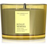 Vila Hermanos Sunlit Mimosa