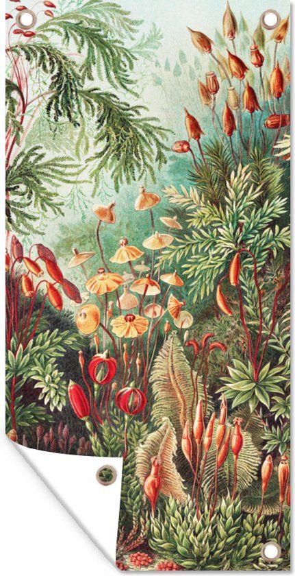 GreatGardenPosters Tuinposter - Bloemen - Kunst - Vintage - Planten - Ernst Haeckel - 40x80 cm - Bannerdoek - Buitenposter