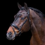 Imperial Riding Hoofdstellen Olympia Cob Zwart/Roze Goud Leer