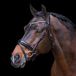 Imperial Riding Hoofdstellen Olympia Cob Zwart/Roze Goud Leer