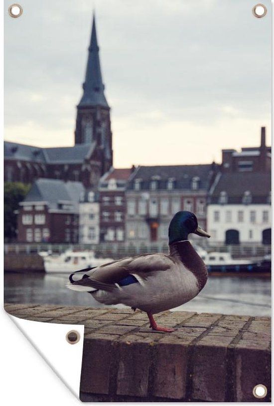 GreatGardenPosters Tuinposter Maastricht Maas Eend - 80x120 cm - Landelijk - PVC