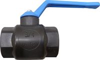 S & M 174070 – antivries ventiel 3/10,2 cm, zwart polypropyleen, blauw handvat