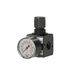 Riegler R 34 - 3 Multifix drukregelaar met manometer