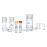 Analytik Jena C-6077 InnuPREP Bacteria DNA Kit, 50 reacties
