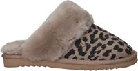 Warmbat Collie Print Panther Dames Sloffen - Taupe