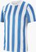 Nike Striped Division IV Shirt Korte Mouw Dames - Wit / Lichtblauw