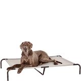 Amazon Basics Verkoelend verhoogd hondenhuisdierbed, XL, grijs, 153 x 94 x 23 cm (l x b x h)