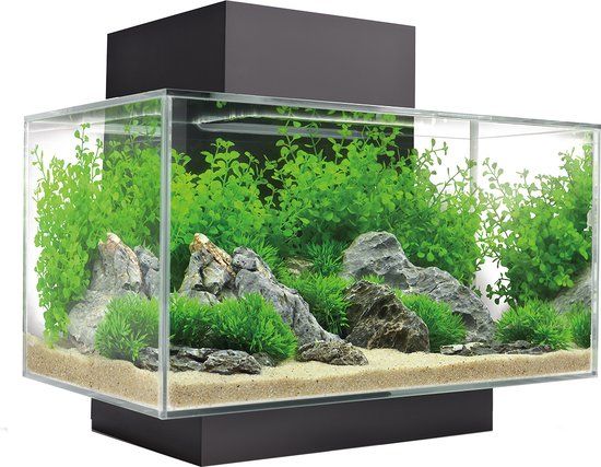Fluval Edge I 2.0 Aquarium - 23L - Zwart