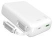 PURO Powerbank Power Reel 10 10.000 mAh avec rétractable intégré