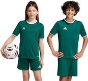 adidas teamwear adidas T-shirt Entrada 26 Jersey Groen - Maat 104cm