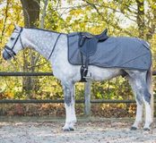 QHP Fleecedeken voor paarden Grijs S