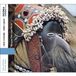 Outhere Various Artists - Ivory Coast. Dan Masks (CD)