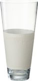 J-Line vaas Delph - glas - transparant/wit - medium - 45 cm hoog