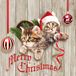 Ambiente Kerst Thema Servetten - 20 Stuks - 33 x 33 cm - Katten Print
