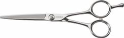 Sinelco Cisoria Class S55 Rechte Schaar 5,5