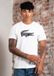 Lacoste Logo T-shirt - White Black
