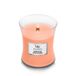 WoodWick Manuka Nectar Geurkaars Medium 65 Branduren Oranje
