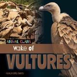 Wake of Vultures