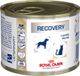 Royal Canin Alimentation pour chien - boîte - 195 g