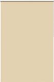 vidaXL Rolgordijn verduisterend 150x230 cm beige