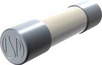 Püschel FST8,0A Fusible (Ø x l) 5 mm x 20 mm 8 A 250 V Lent -T- Contenu : 10 pièce(s)
