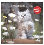 Katzenbabys Neumann Verlage Katzenbabys 2027 Wandkalender