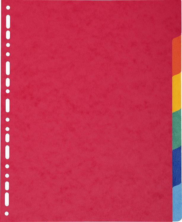 Exacompta 2406E - Schutkaart - Karton - Multi - 29,70 cm x 24,50 cm