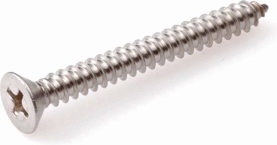 Hoenderdaal Fasteners Hoenderdaal Plaatschroef Pk Philips RVS A2 6.3x50mm - 100 stuks