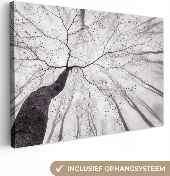 OneMillionCanvasses Canvas schilderij - Bomen - Mist - Natuur - Bos - 150x100 cm