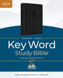 The NIV Hebrew-Greek Key Word Study Bible, Black Leather, Index