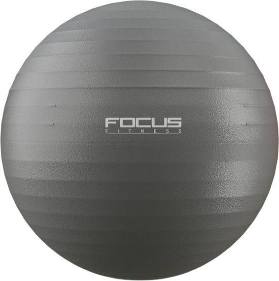 Focus Fitness Gym Ball - Zwart - 65 cm