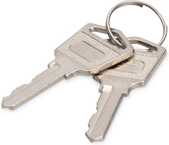 Digitus DN-45000-KEY Vergrendelsleutel Zilver