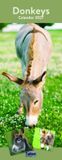Tallon Donkey, Foal, Horse, Pony Kalender 2027 Slimline