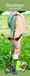 Tallon Donkey, Foal, Horse, Pony Kalender 2027 Slimline