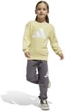 Adidas Essentials Joggers Set Geel 5-6 Years Kinderen