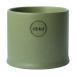 DBKD Pot Astillbe Vert, petit, Ø7x6 cm