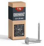 HELPMATE Dakspijkers 2,0 x 20 mm, type B, 1000 g (1 kg), mechanisch verzinkt DIN 1160B, brede kop