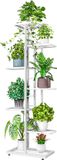 Unyqoos Métal étagère à fleurs, support de plantes, 7-dieren, 8 pots, plusieurs niveaux, support de fleurs, support de plantes, banc à fleurs, escalier à fleurs, escalier à plantes, étagère sur pied pour intérieur et extérieur, jardin, balcon, décoration (gris foncé)