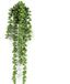 Merkloos Countryfield Kunstplant Senecio Rowleyanus groen