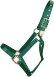 Hamilton Paardenhalster, 2,5 cm, nylon