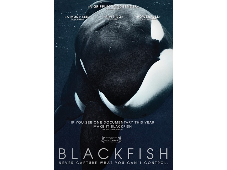 Blackfish - DVD