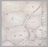 Sylvie Courvoisier - Signs And Epigrams