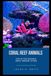 Coral Reef Animals: Life in the Ocean's Most Vibrant Cities