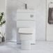 Hudson Reed WC avec lave mains - Blanc - 50 cm x 89 cm - Bouton de chasse chromé - Cluo-Exton