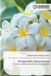 Pachypodium Lap Lambert Academic Publishing Pachypodium (Apocynaceae): Taxonomy, habitats and cultivation. Second Edition Paperback