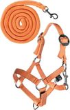 HKM Hobby Horsing Basic Hoofdstel en leidlijn Oranje One Size