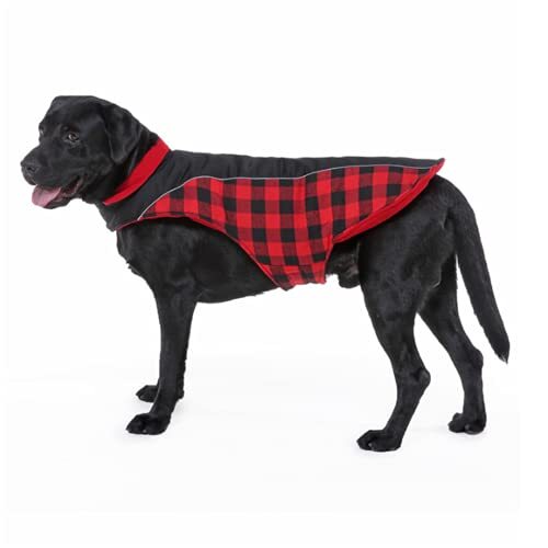 JRKJ Winter Dog jas kleding Waterdichte reflecterende grote hondenjas Soft High Collar Dog Vest voor Medium Large Dogs S-2XL