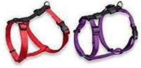 Nylon riem, rekbaar, 15 PURPU.