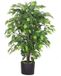 Leaf Design UK Kunstplant, 90 cm, Bossig, Zwarte Kunststof Pot
