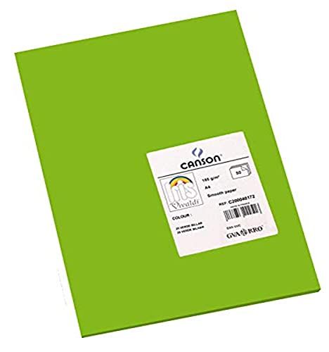Canson Iris Vivaldi A4 120 gsm Glad Kleurpapier - Licht Grijs 185gsm - 50 vel A4 - 21x29.7cm Helder Groen